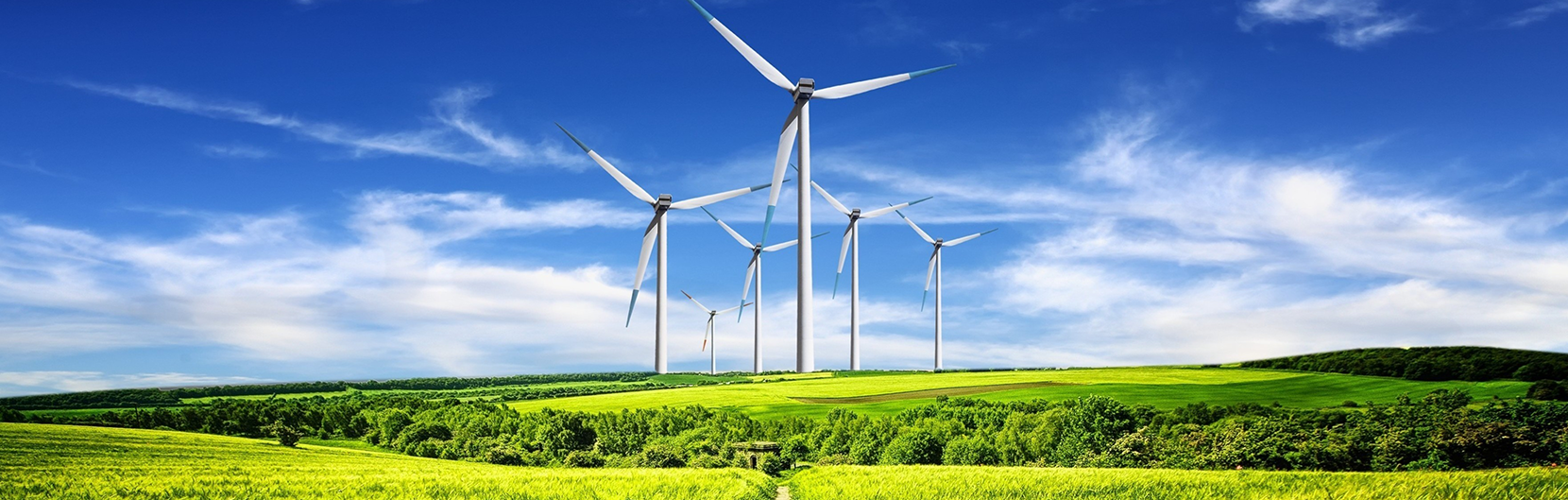 Устойчивое развитие