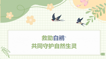 Сохраните белый кальмар и совместно защищайте природные существа